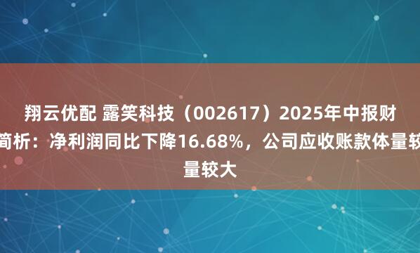 翔云优配 露笑科技（002617）2025年中报财务简析：净利润同比下降16.68%，公司应收账款体量较大