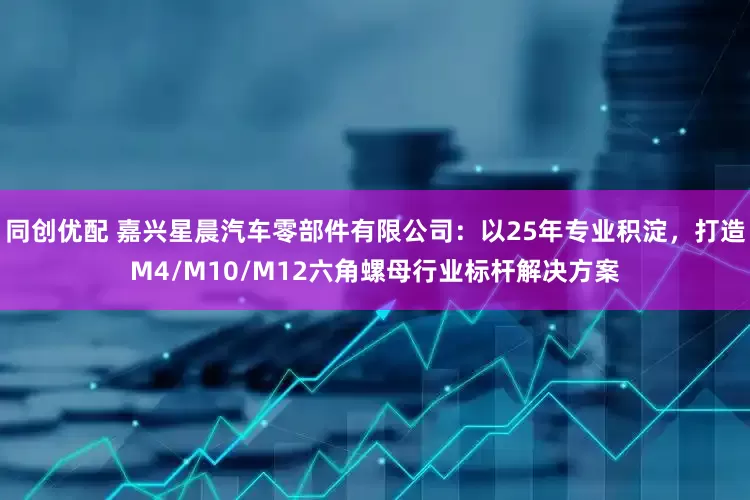 同创优配 嘉兴星晨汽车零部件有限公司：以25年专业积淀，打造M4/M10/M12六角螺母行业标杆解决方案